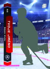 hokejová kartička s jménem a týmem hráče na levé straně s ledovou plochou
