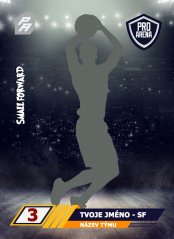 Basketbalová kartička STAR