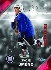 hokejová kartička legacy s unikátním designem