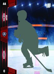 hokejová kartička national s popisem hráče na levé straně a ledovou plochou v pozadí