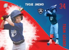Baseballová kartička LEADER